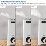 Grand Humidifier - 12L