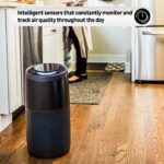 Instant Air Purifier, Large with Night Mode, Charcoal