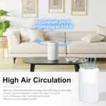 2 Pack TPLMB Air Purifiers for Bedroom,H13 HEPA Filters,Fragrance Sponge for Better Sleep,Portable Air Purifier with Nightlight Speed Control,For Home Living Room,24dB Filtration System,P60 (2, Black)