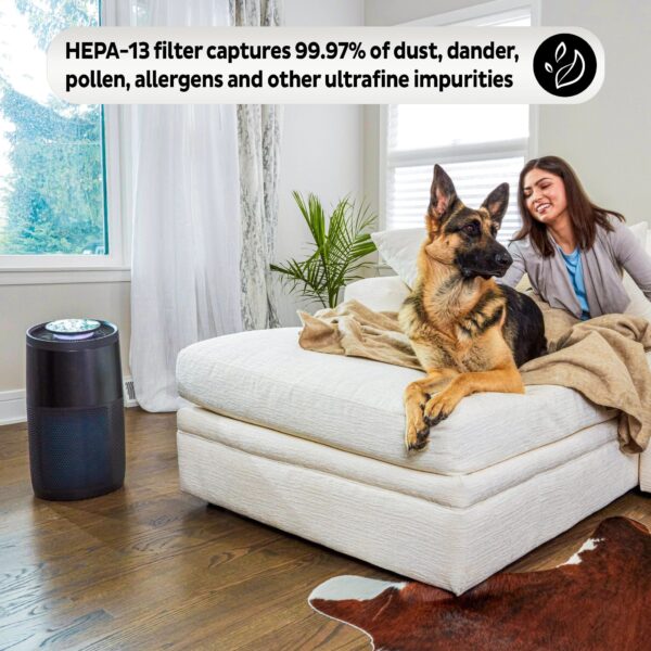 Instant Air Purifier, Large with Night Mode, Charcoal