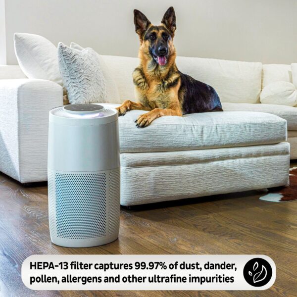 Instant Air Purification Replacement Filter - Medium